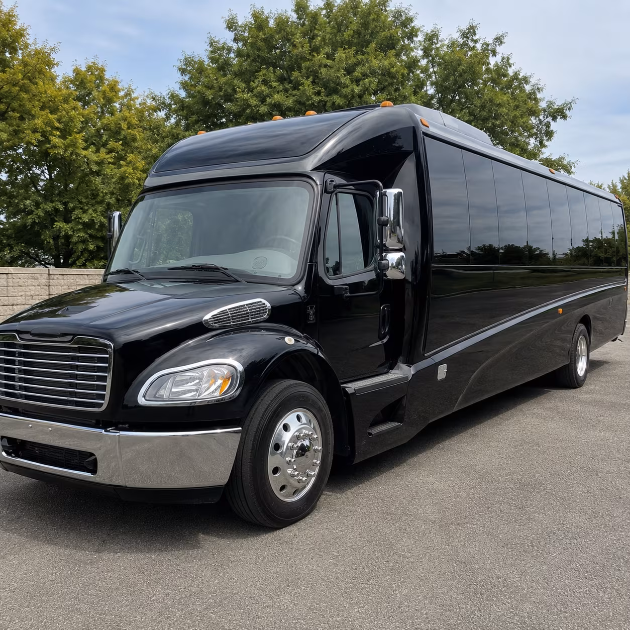 santa ana 18 passenger minibus